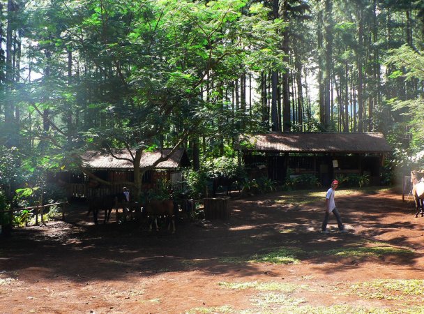 31- Retour au ranch 
